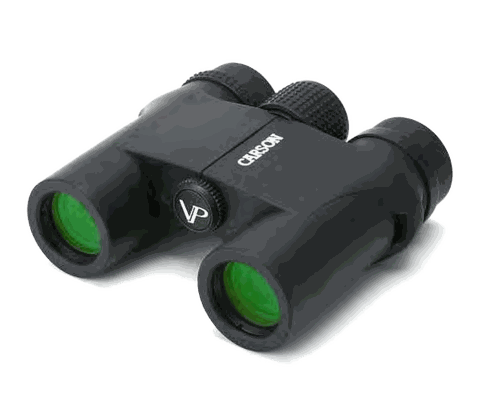 Carson VP025 10x25 Compact Binoculars