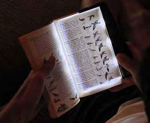 Carson PageGlow PG10 LED Booklight Magnifier, image 2