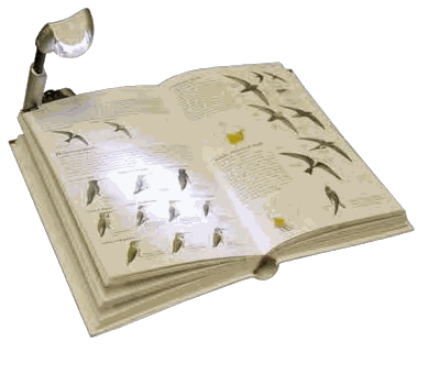 Carson BookBrite BB-22 LED Booklight, image 2