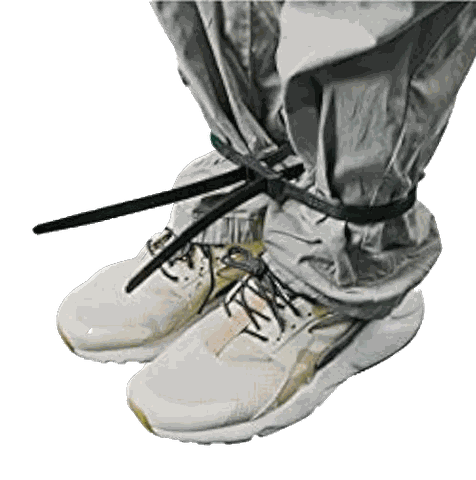 Heavy Duty Zip Ties, image 2