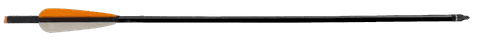 Carbon Crossbow Bolt