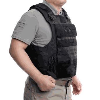 Cytac Mission-Oriented Plate Carrier, image 2