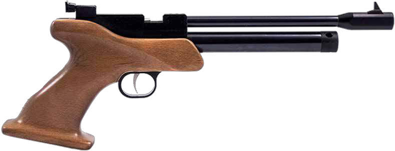 Artemis CP1 CO2 Target Air Pistol
