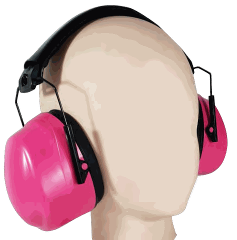 LE701A Anti-Noise Earmuffs